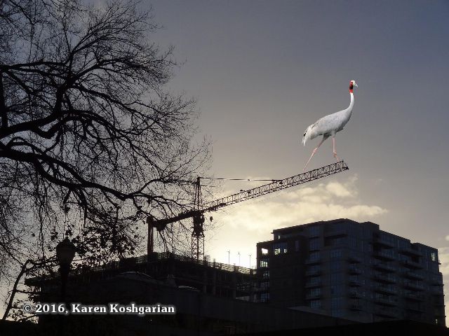 A crane photoshopped onto the boom of a construction crane silhouetted against the Portland Oregon skyline