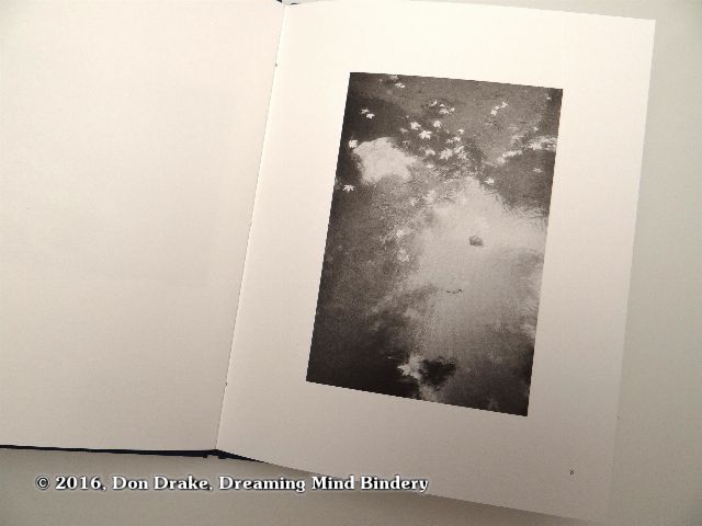 'Reflection with Leaves', image 8 in Kate Jordahl's and Don Drake's One Poem Book, Crystal Day