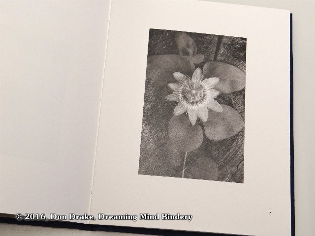 'Passion Flower', image 2 in Kate Jordahl's and Don Drake's One Poem Book, End